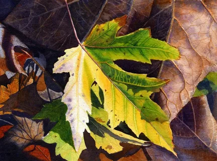 Endangered leaf art