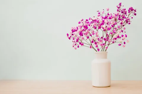 Evian Flower Vase – A Perfect Addition to Any Home!